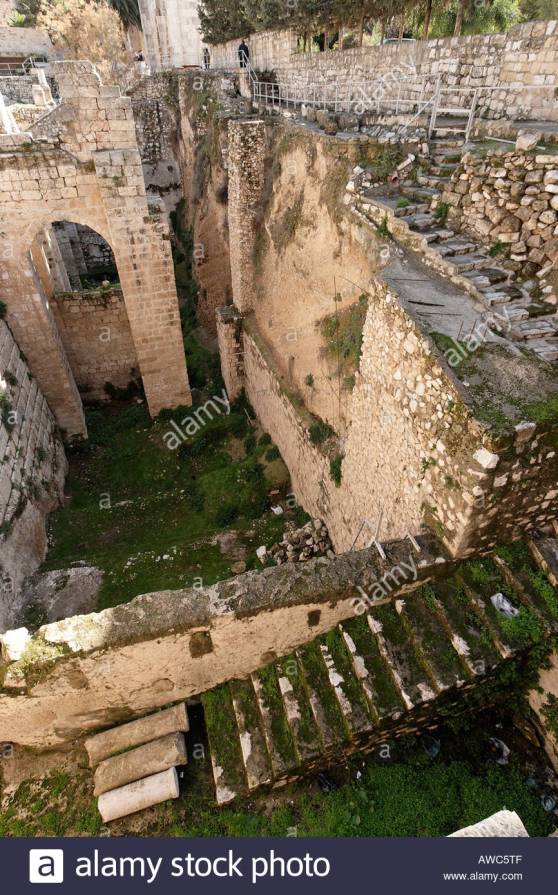 israel-jerusalem-the-pool-of-bethesda-meaning-house-of-mercy-was-a-AWC5TF